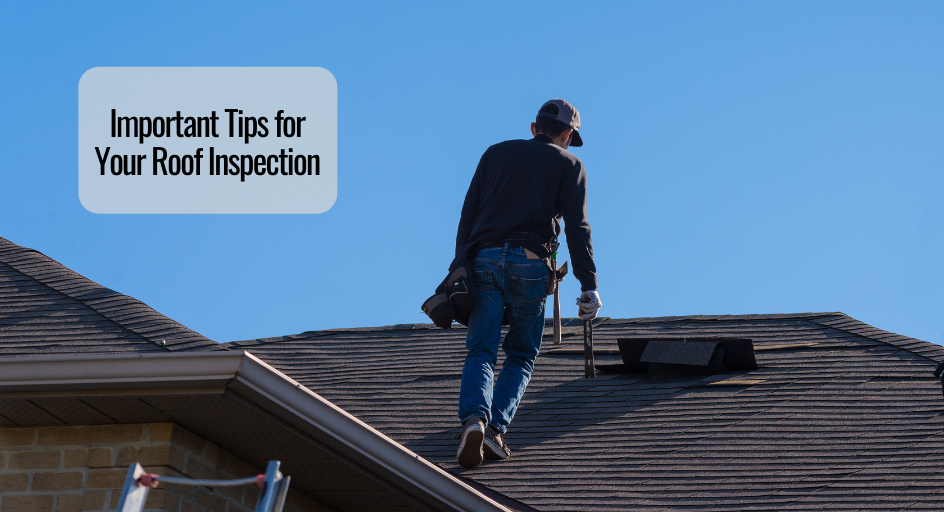 Important Tips for Your Roof Inspection Important Tips for Your Roof Inspection