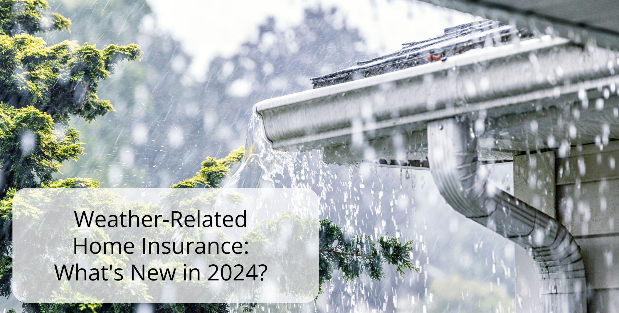 Weather Related Home Insurance: What’s New in 2024? Weather Related Home Insurance: What's New in 2024?